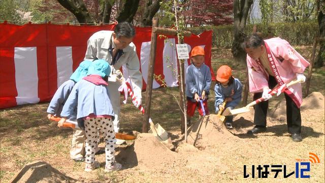 園児が春日公園で桜植樹