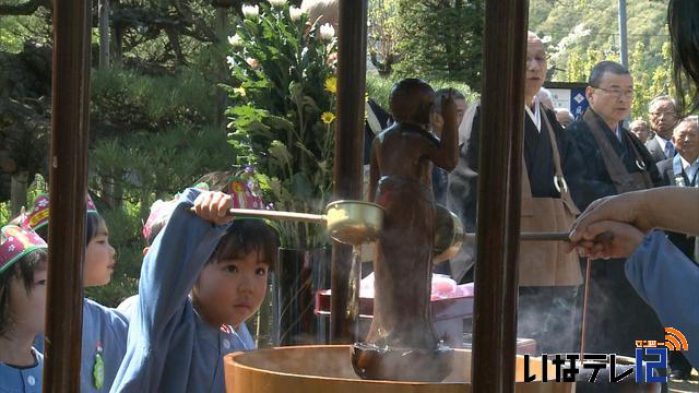 高遠町満光寺　園児花祭り