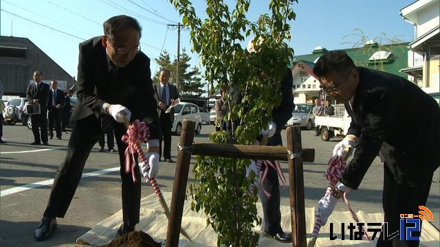 峠の茶屋にタカトオコヒガンザクラ植樹