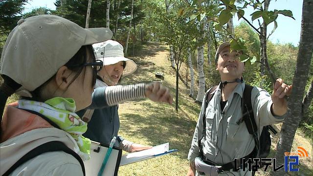 山野草や樹木について学ぶ