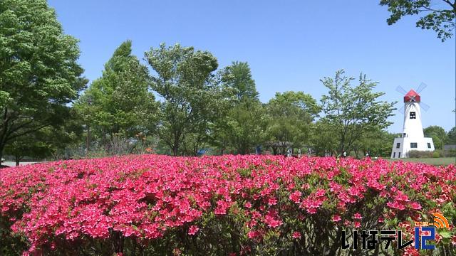 真夏日　最高気温30.3度