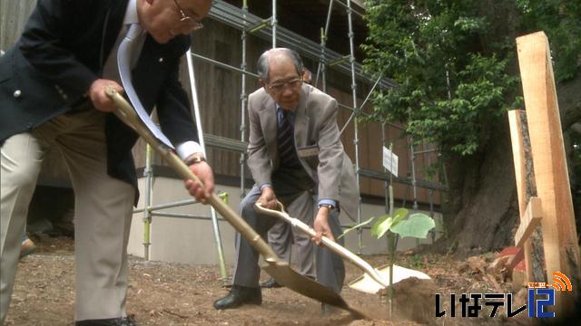 伊那中央RC高尾公園にアオギリ植樹