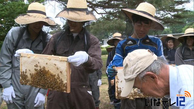 信大生はちみつ作り体験