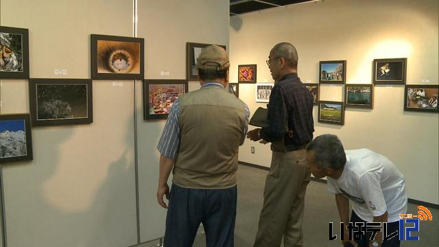 写真展「なんじゃもんじゃ」