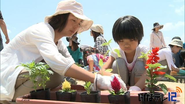 竜東保育園仮設園舎を花で彩る