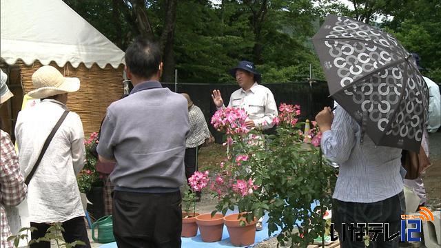 ローズガーデンでバラの鉢植え講習会