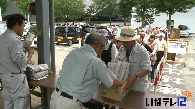 花の苗無料配布に行列