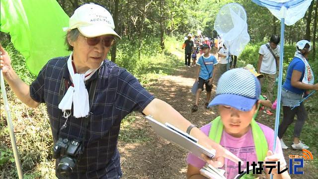 ますみヶ丘平地林で昆虫などを観察