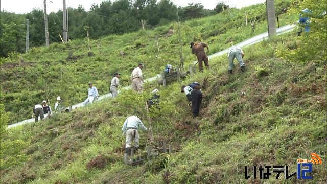 西春近住民桜の里整備作業