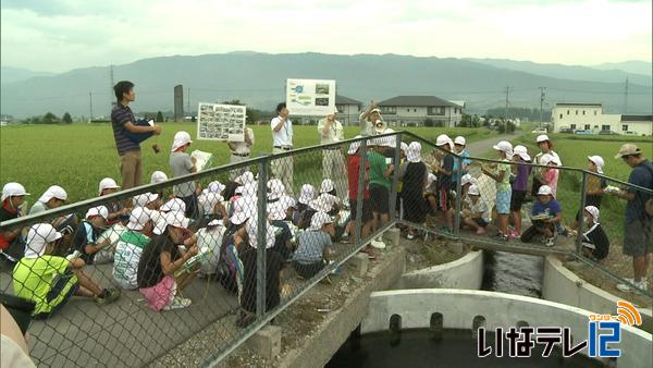 南小児童が農業用水路見学