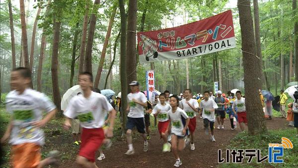 森林コースを走るトリムマラソン