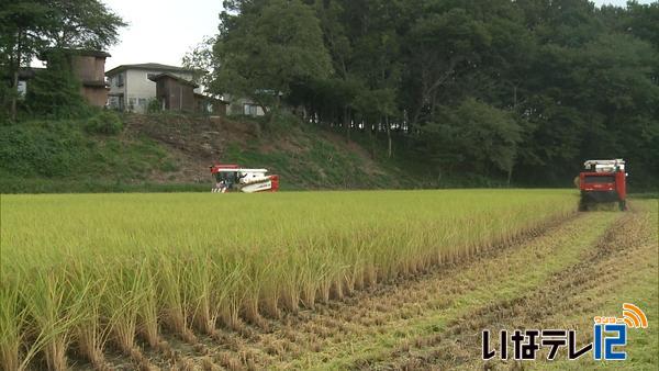 上伊那トップ切って手良で稲刈り