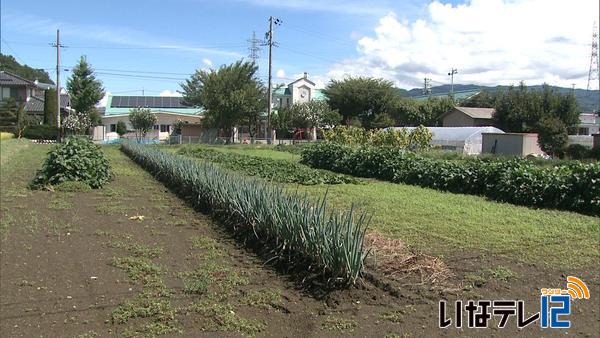 南箕輪村南部保育園　園庭用地取得へ