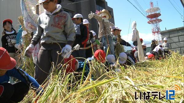 伊那東小児童が稲刈り