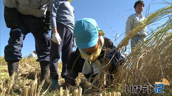 最高気温２９．５度　夏日