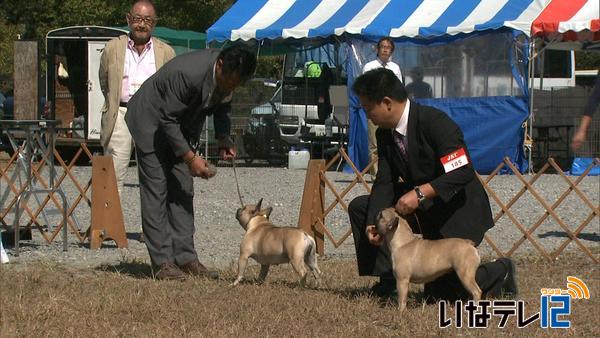 伊那愛犬主催　ドッグショー