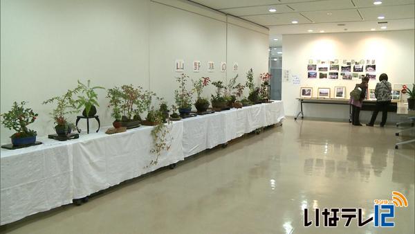 まほらいな市民大学卒業生が作品展示