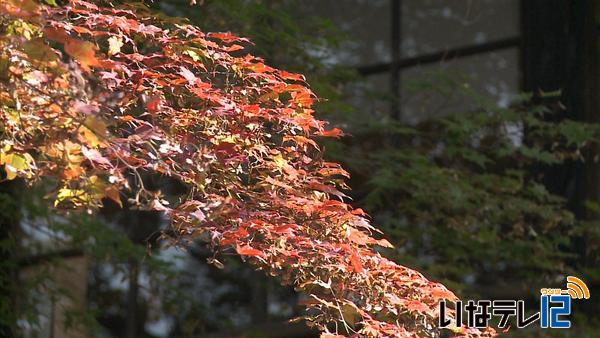 高遠城址の秋まつり