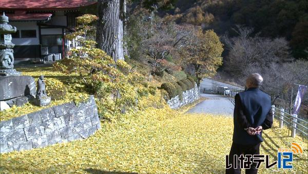 高遠町弘妙寺　イチョウのじゅうたん