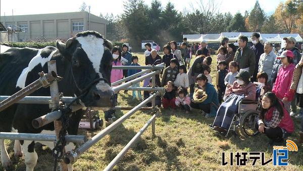 牛乳を使った製品づくりなどを体験　酪農祭