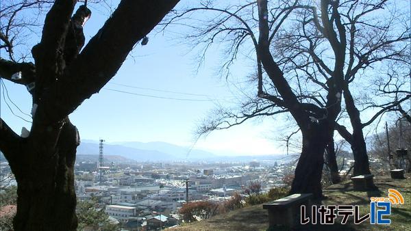 夜空に満開　咲光桜　