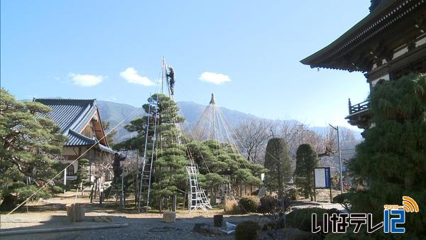 満光寺で雪吊り作業