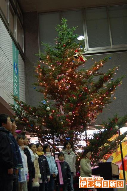 いなっせにクリスマスツリーが登場