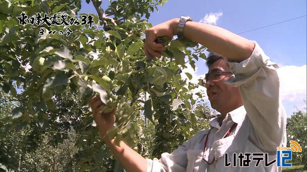 【3.11の今】　福島の未来のために　果樹農家 佐藤さんの闘い