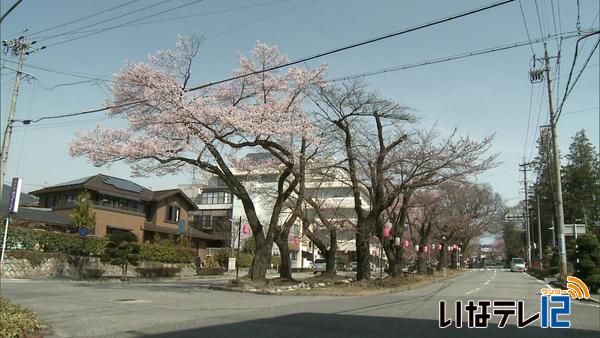 信越花だより　飯田市大宮通り