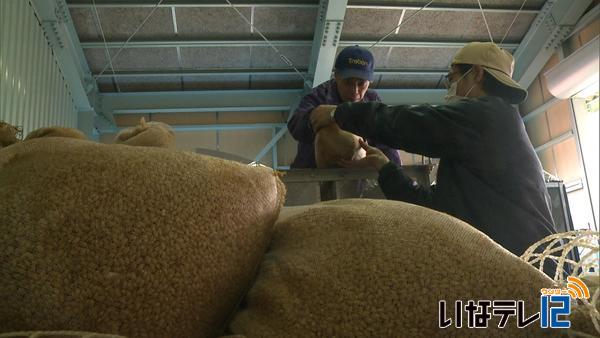 田植えシーズン前に種籾の発芽作業