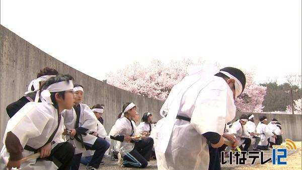 踊り、さくら茶で花見ムード盛り上げ