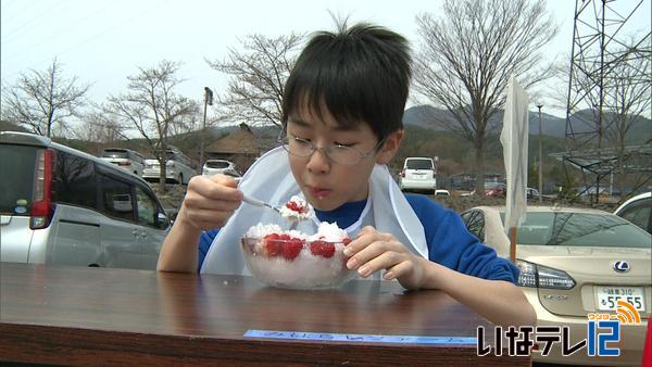 15個いちごカキ氷　早食い競争