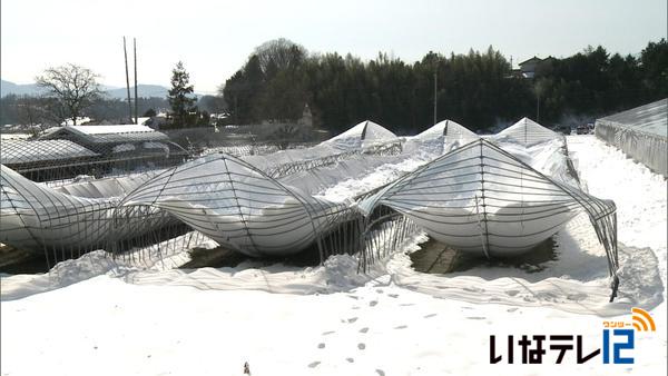 ２月の大雪被害　農業施設など３億６千万円被害