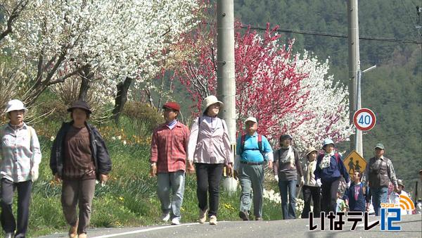 信州みのわ花街道まつり