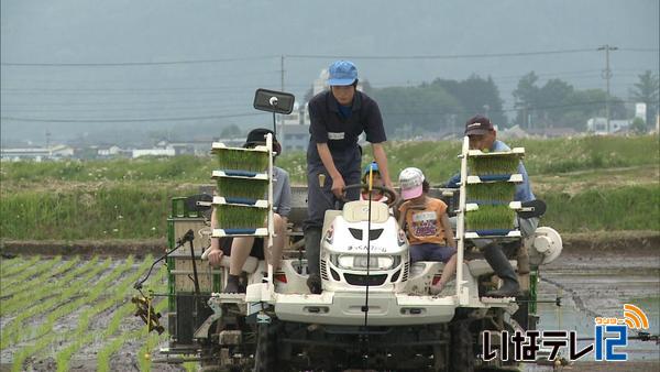 「まっくん田んぼ体験隊」が田植え作業