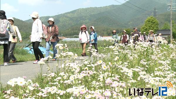 ＪＡ健康長寿へウォーキング