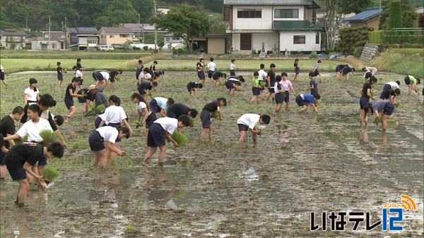 新宿の中学生が田植え体験