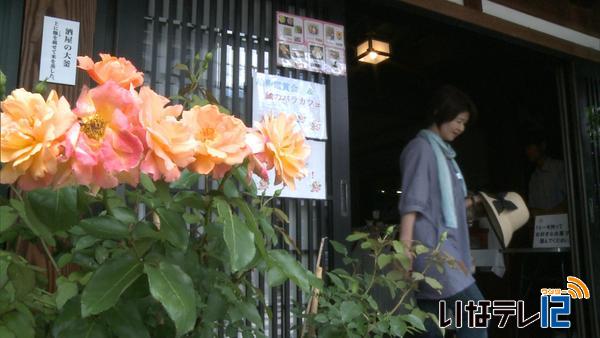 高遠商店街にバラカフェオープン