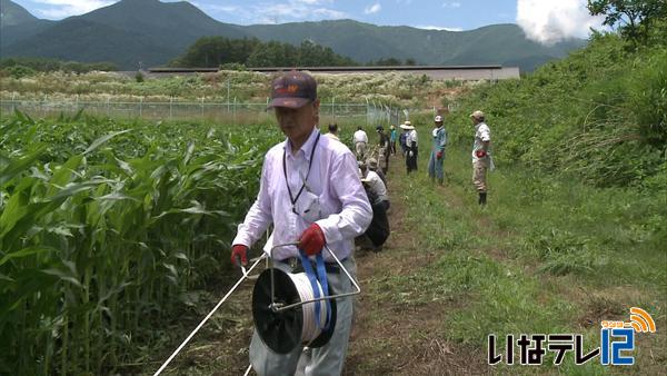 伊那西小の通学路にクマ避けの電気柵設置