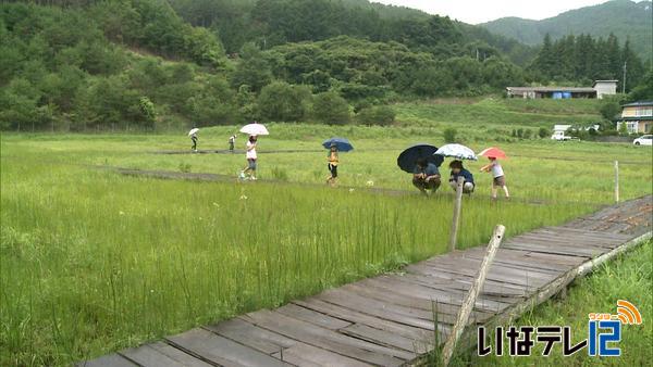 トンボの楽園で観察会