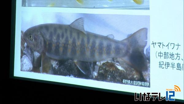 ヤマトイワナ原種保護へ　守る会発足