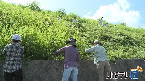 西春近の住民　さくらの里を整備