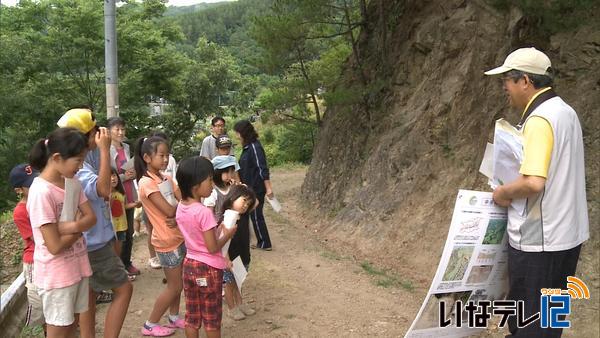 長藤の児童が板山露頭を見学