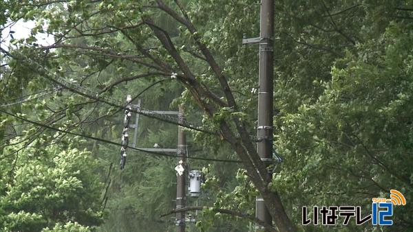 台風１１号　伊那市西町で倒木一部停電