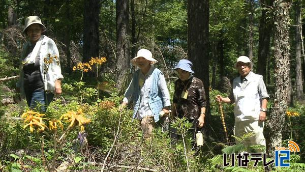 鹿嶺高原で南アの魅力を散策