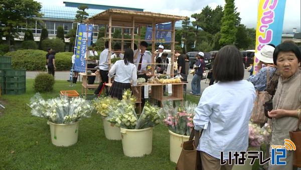 上伊那農業高校「上農青空まるしぇ」盛況