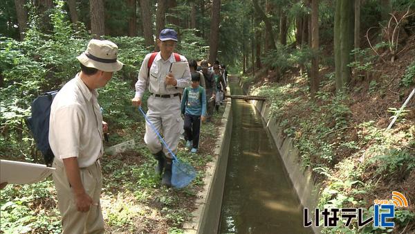 箕輪町松島の新井用水を学ぶ