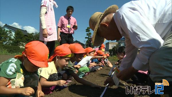 竜東保育園の園児と下新田の住民が大根の種まき