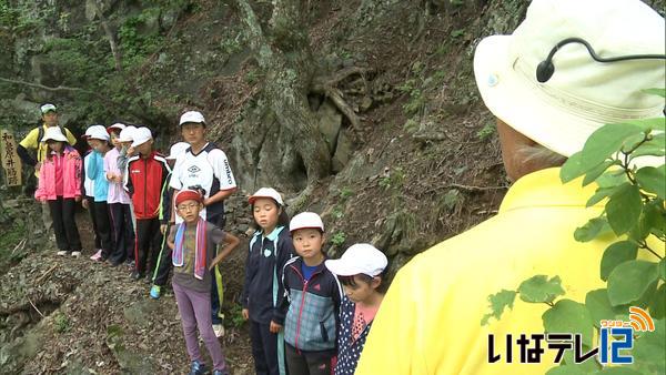 長谷小学校児童　「和泉原井筋跡」を見学