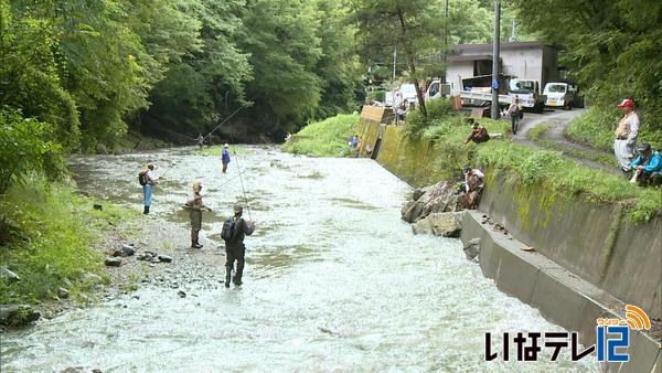 高遠町山室川でマス釣り大会